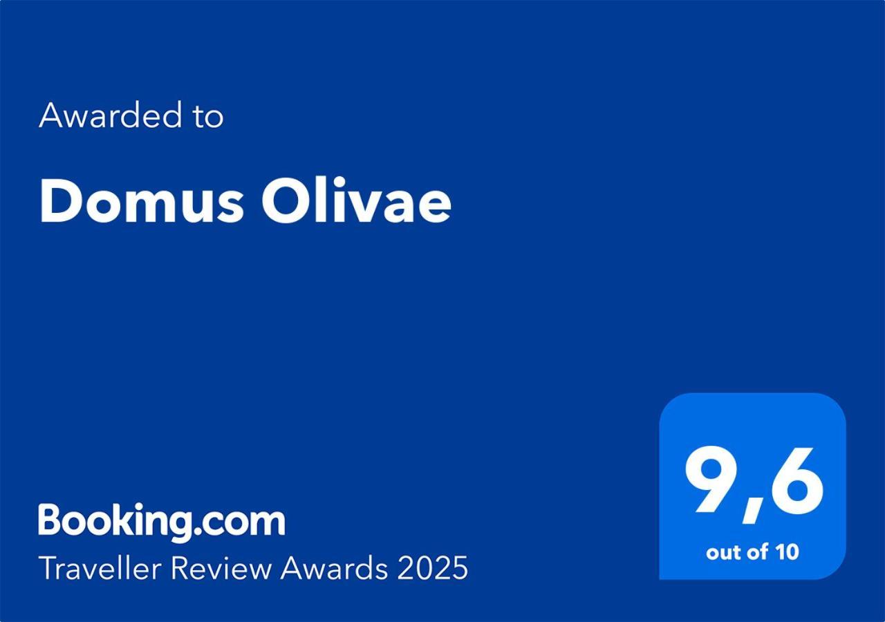 Vakantiehuis Domus Olivae *